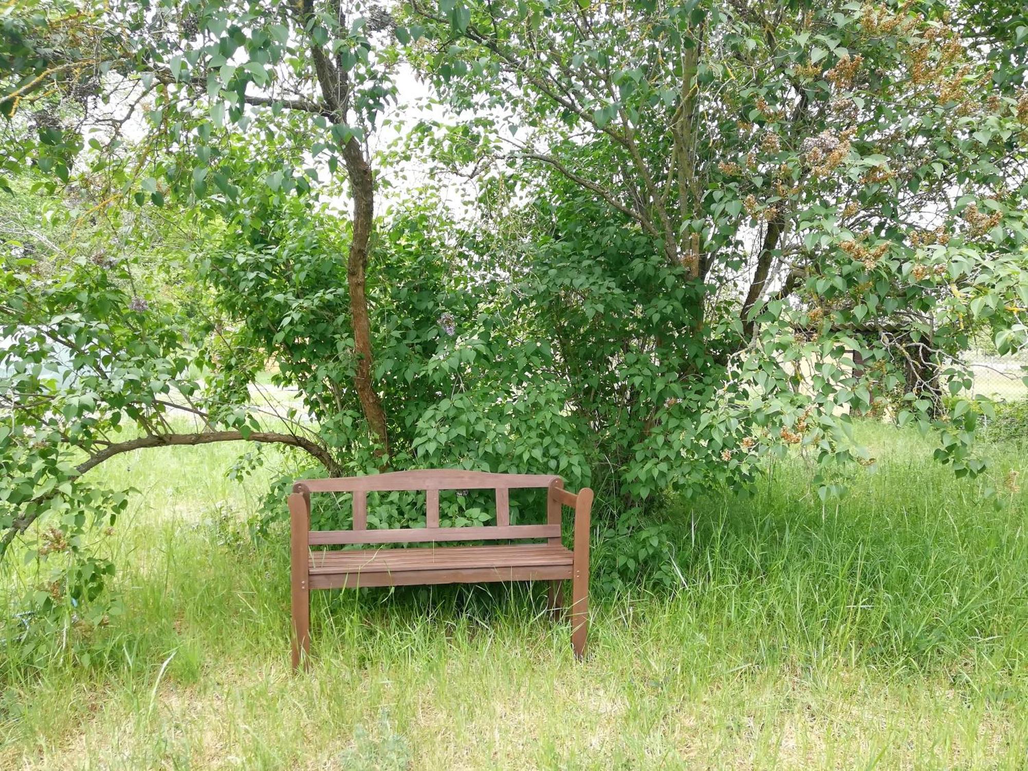Ehemalige Bibliothek Apartment Fuer 2 Mit Kueche Kamin Netflix Parken Und Hofladen Steinhofel Bagian luar foto